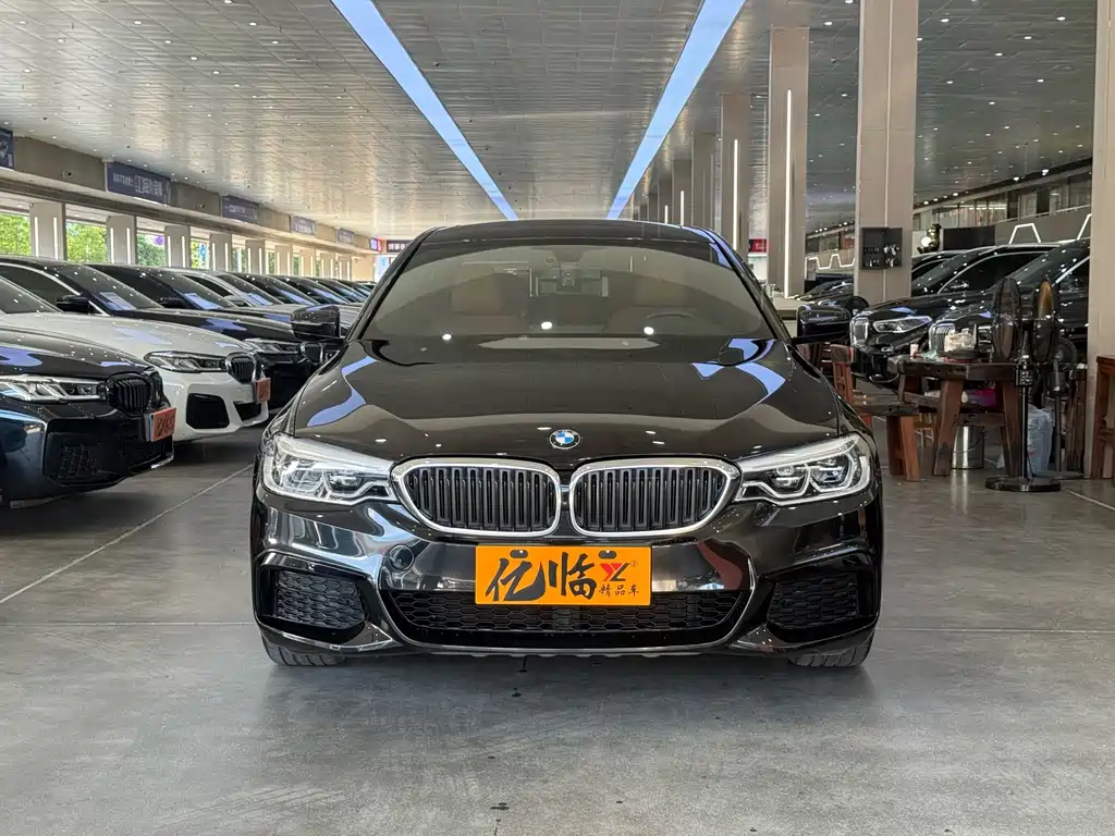 BMW 5 Series — миниатюра 2