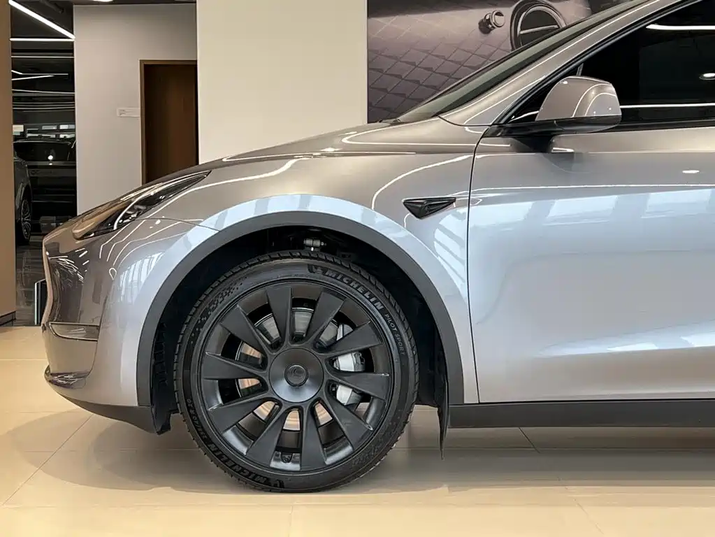 Tesla Model Y — миниатюра 4