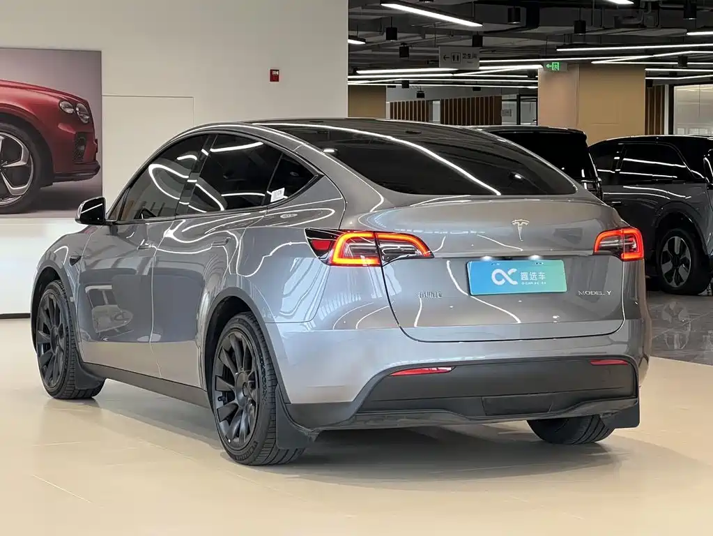 Tesla Model Y — миниатюра 5