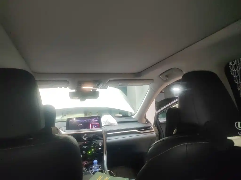 Lexus RX 2020 300 Elegant VI
