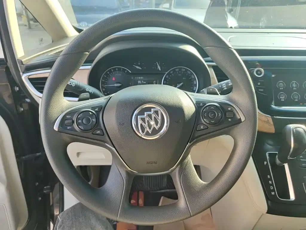 Buick GL8 — миниатюра 11