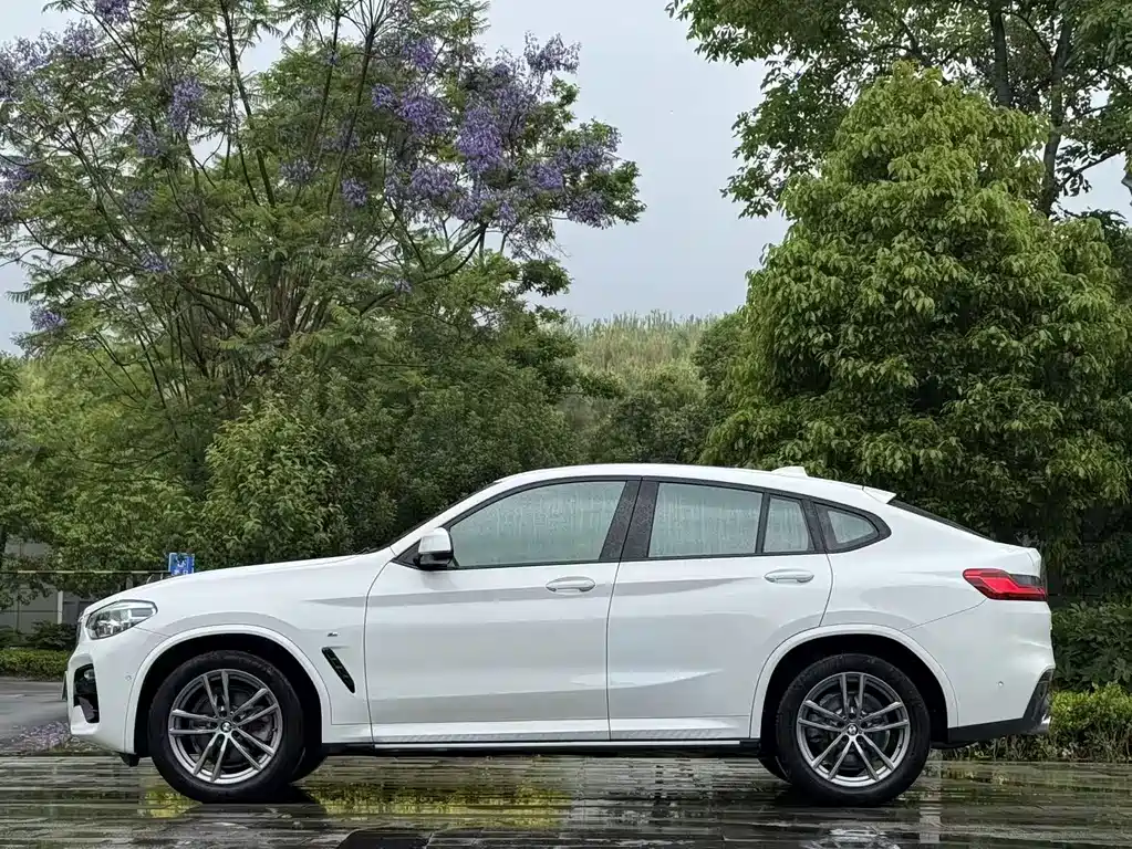 BMW X4 2019 xDrive25i M Sport