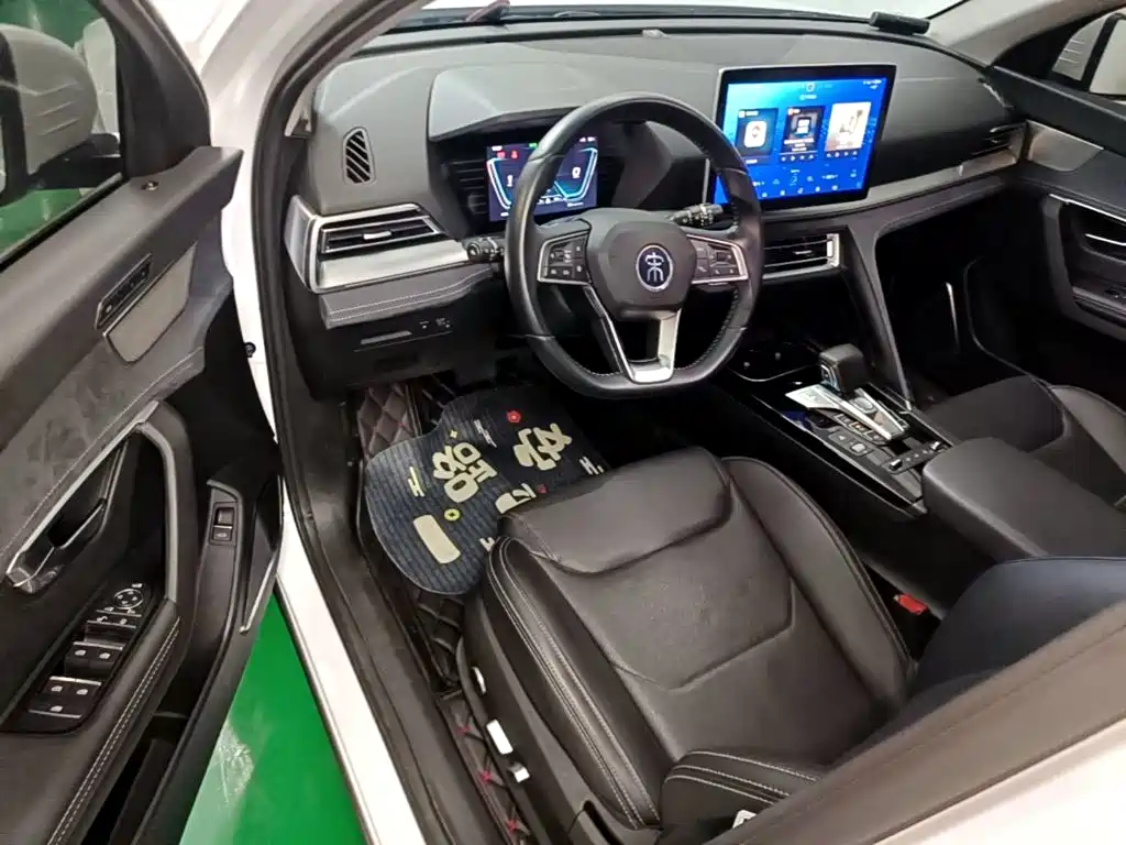 BYD Pro New Energy — миниатюра 16
