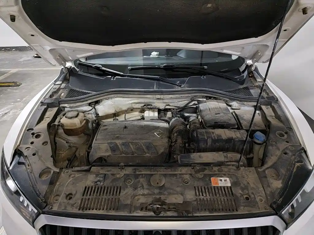Borgward BX5 — миниатюра 25