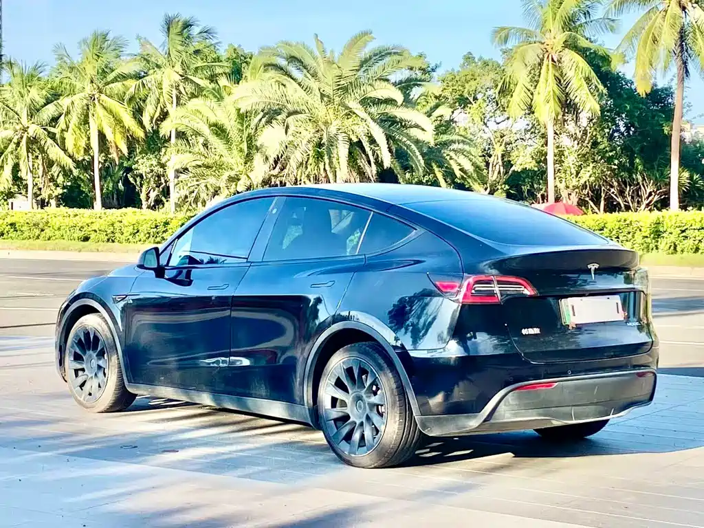Tesla Model Y — миниатюра 9