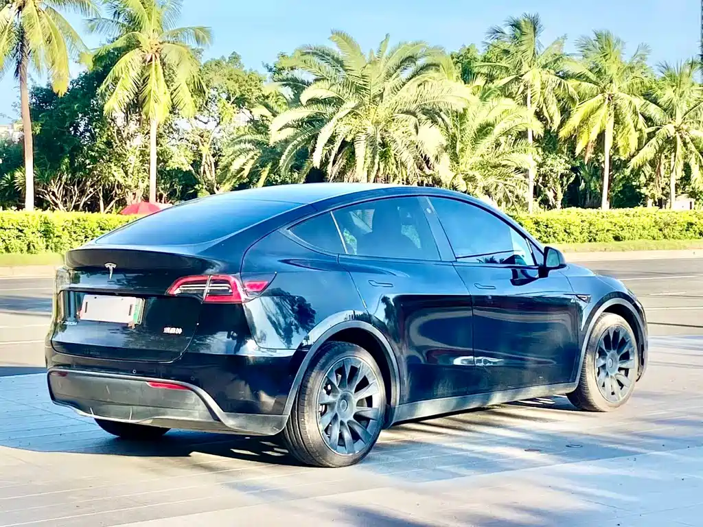 Tesla Model Y — миниатюра 7