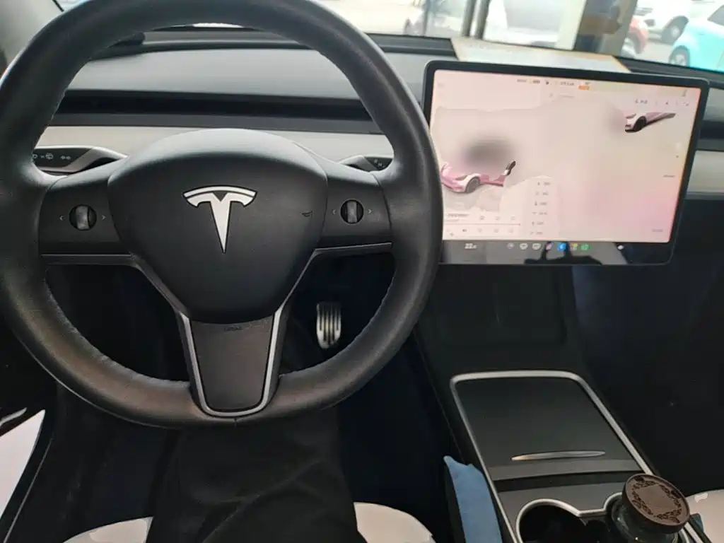 Tesla Model Y — миниатюра 10