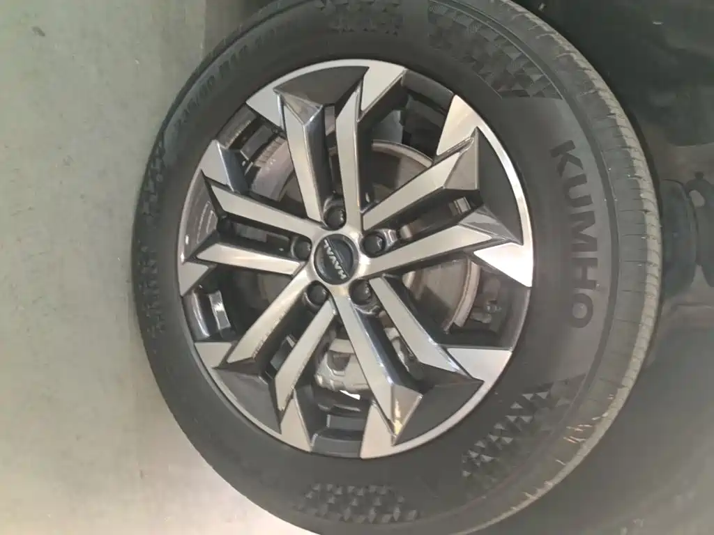 Haval Big Dog PLUS — миниатюра 23