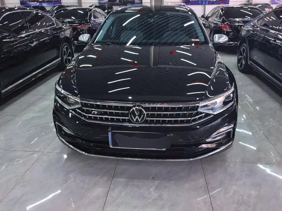 Volkswagen Magotan — миниатюра 2
