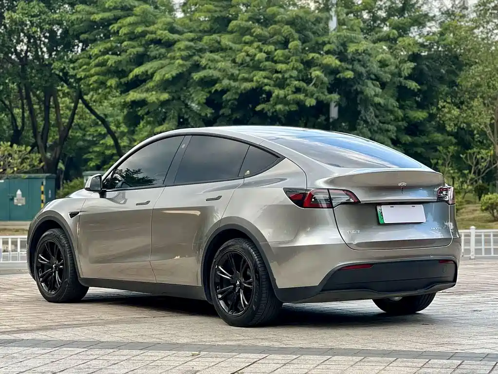 Tesla Model Y — миниатюра 5