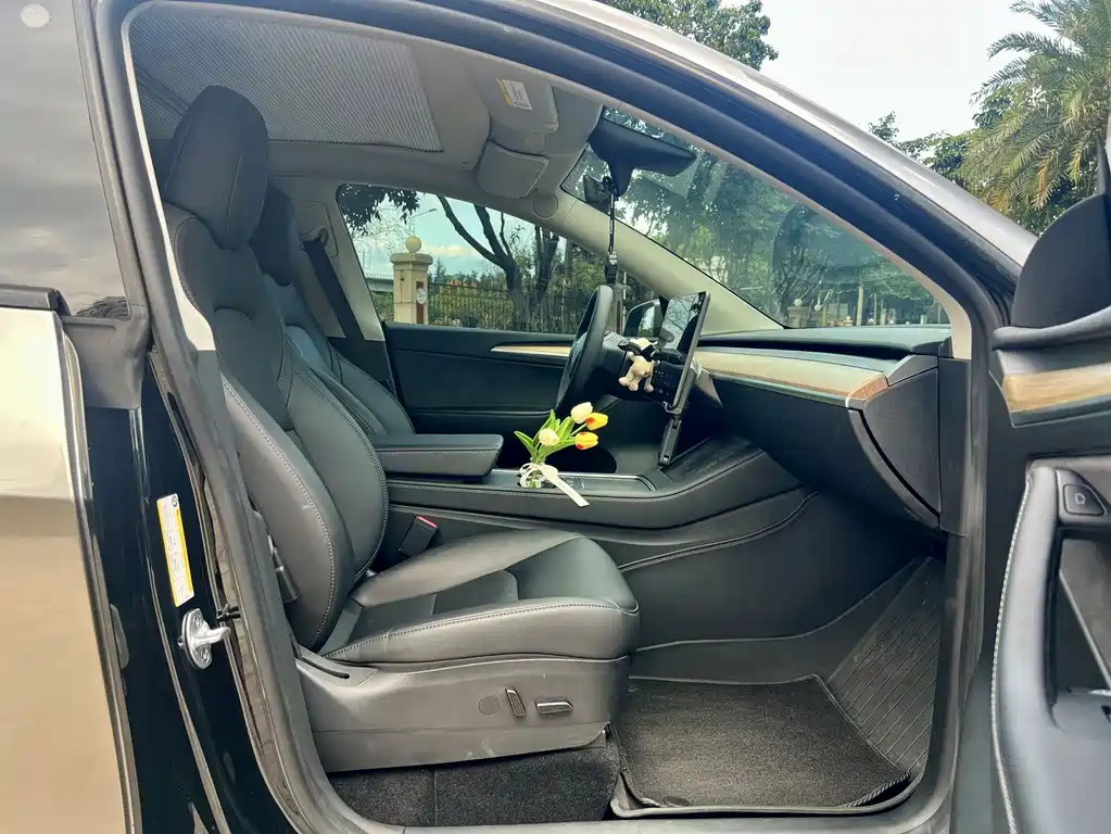 Tesla Model Y — миниатюра 13