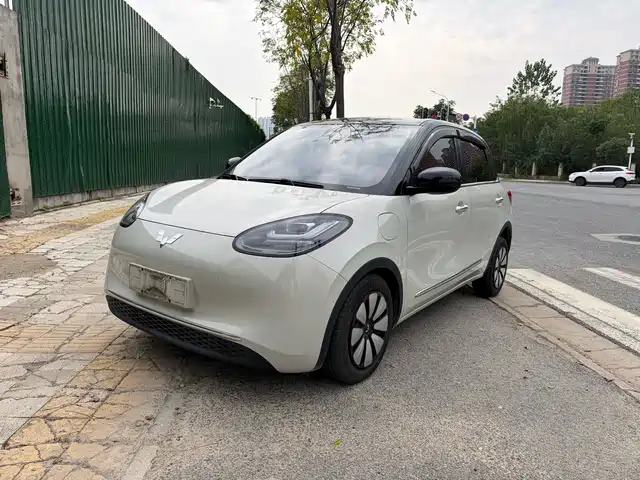 Wuling Bingo