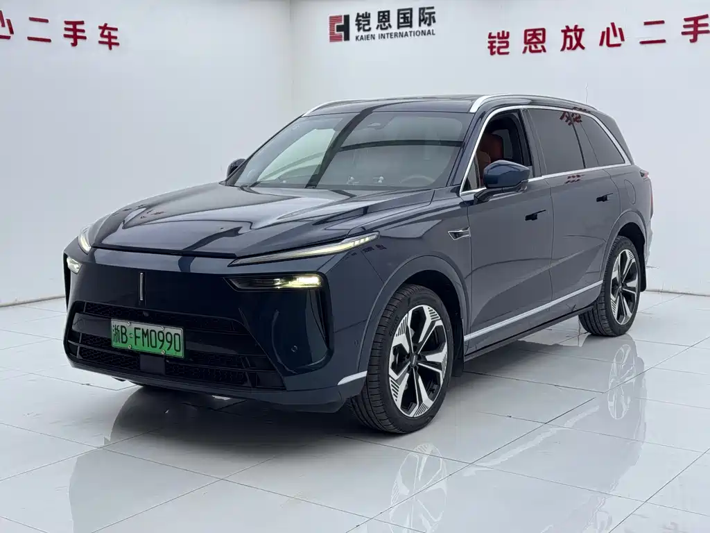 WEI PAI WEI BRAND BLUE MOUNTAIN