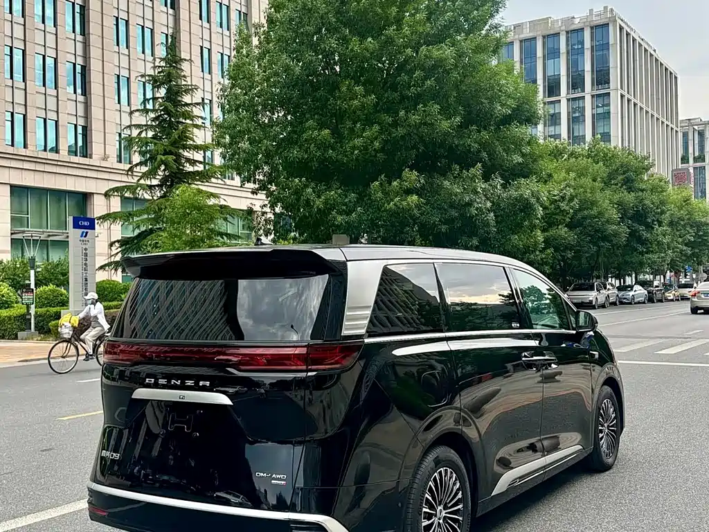 Denza Denza D9 — миниатюра 4