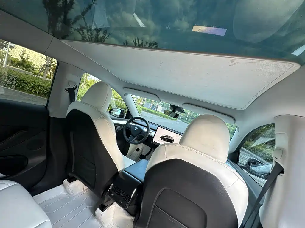 Tesla Model Y — миниатюра 12