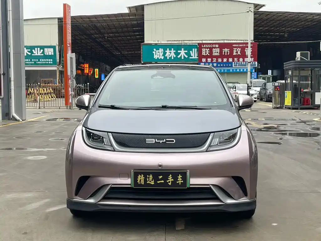 BYD DOLPHIN