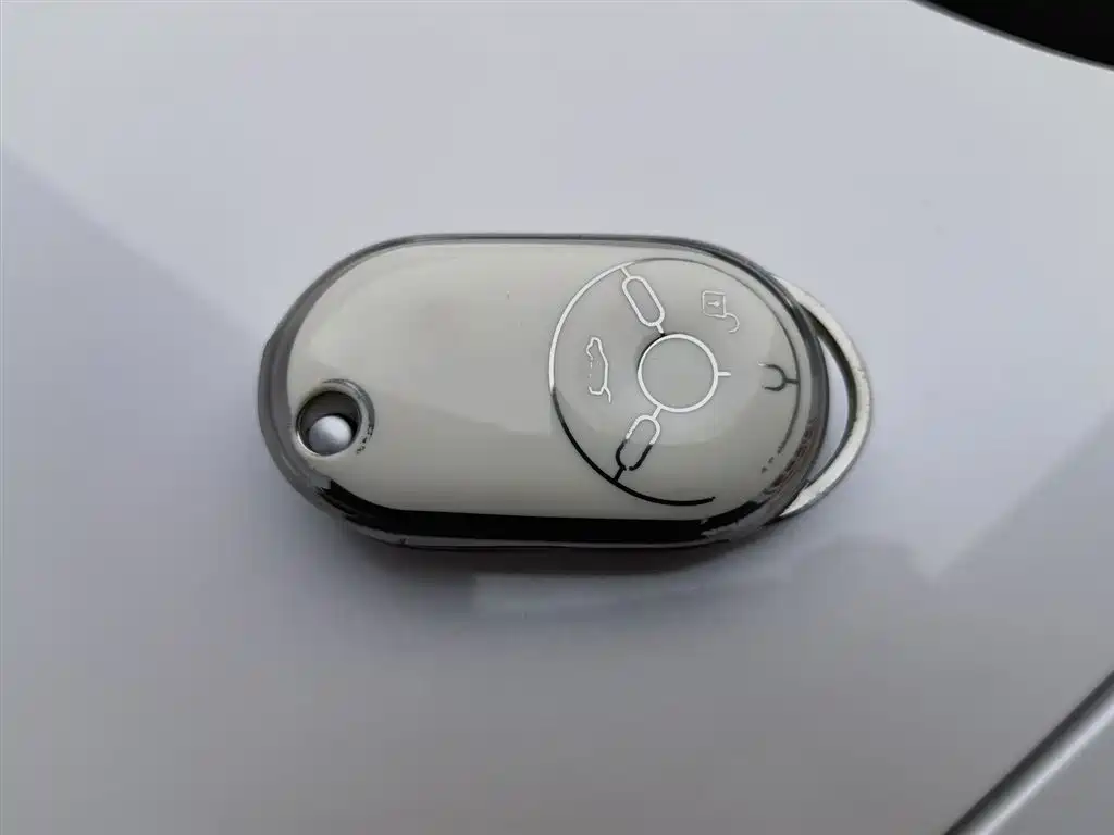 BESTUNE PENTIUM PONY