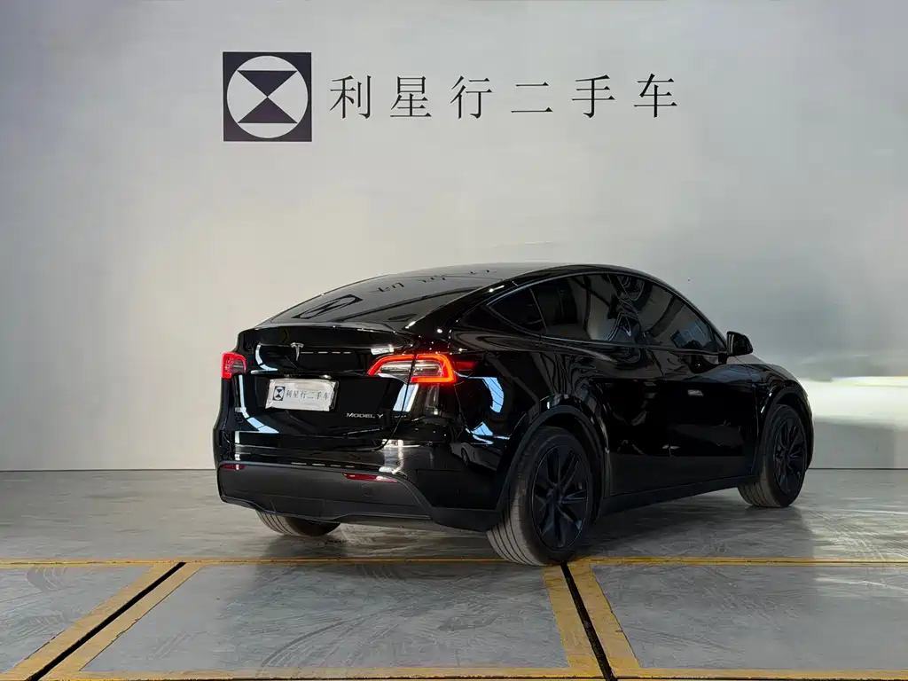 Tesla Model Y — миниатюра 17