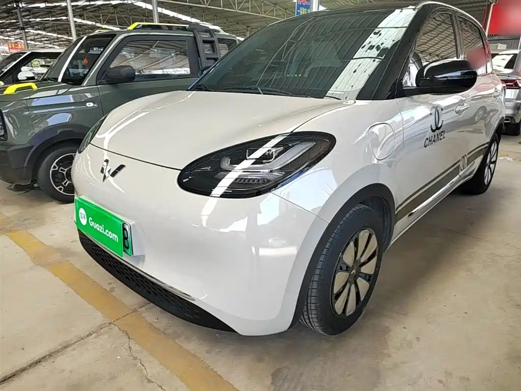 Wuling Bingo 2024