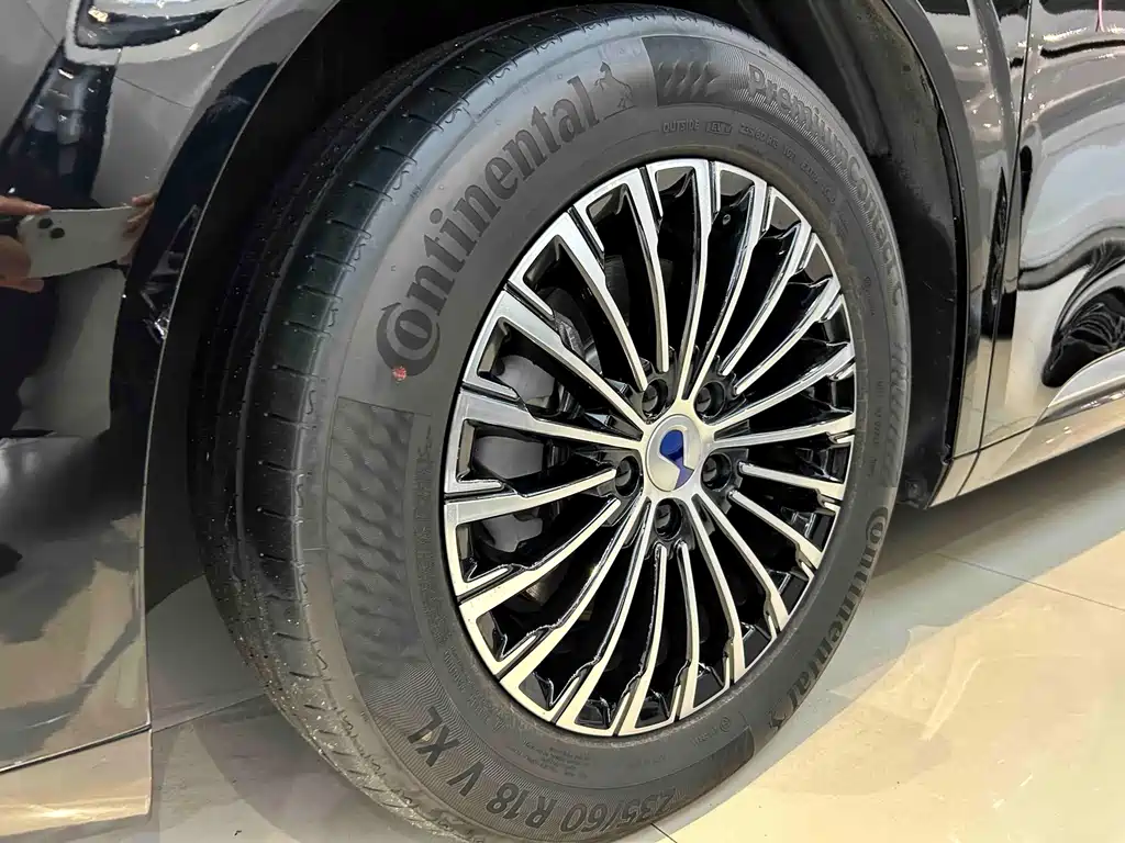 Denza Denza D9 — миниатюра 6