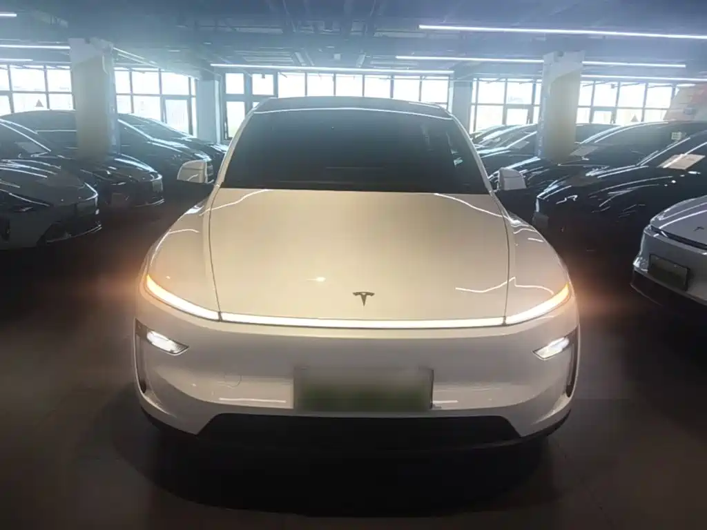 Tesla Model Y L — миниатюра 3