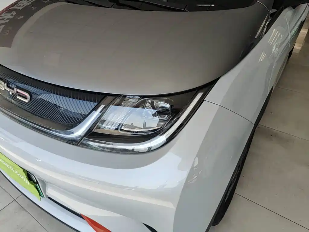 BYD Dolphin — миниатюра 24