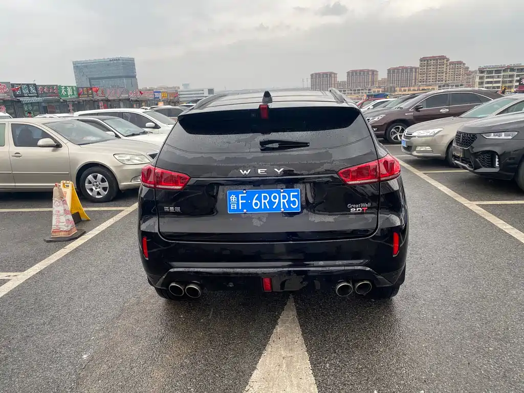 WEI PAI WEI BRAND VV7