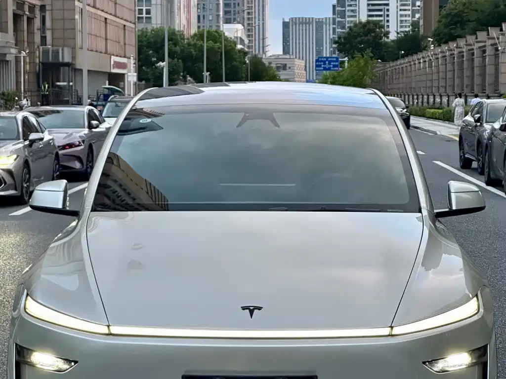 Tesla Model Y L — миниатюра 8