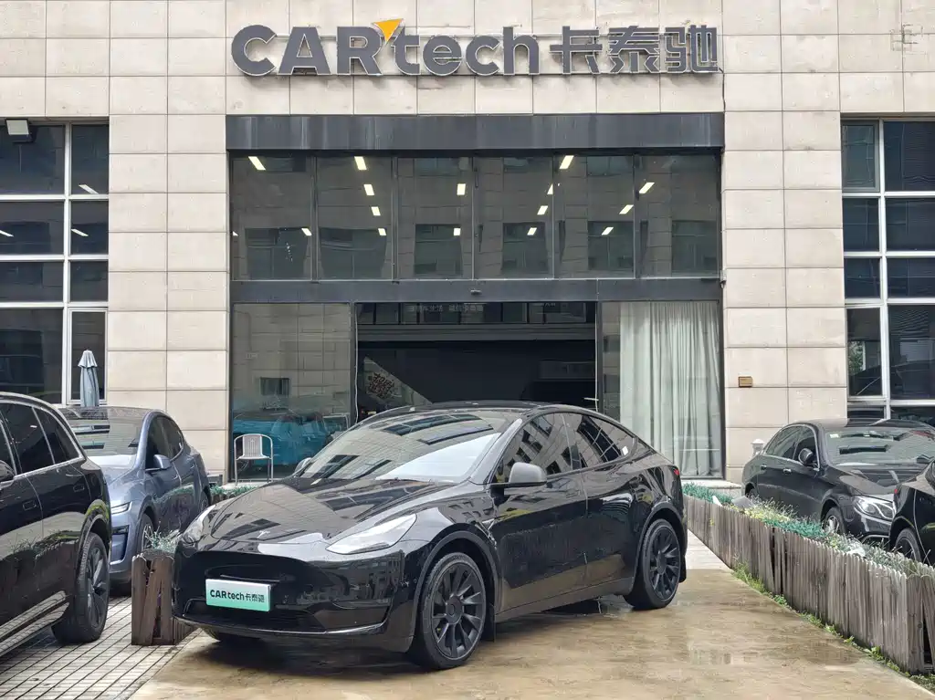 Tesla Model Y — миниатюра 9
