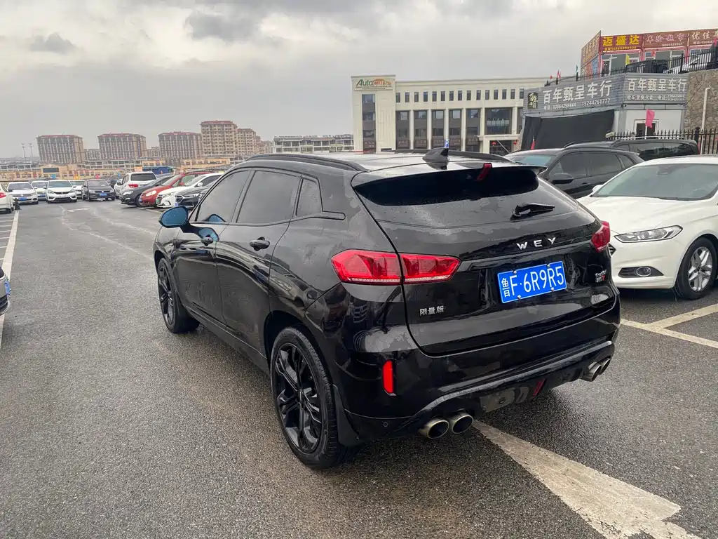 WEI PAI WEI BRAND VV7