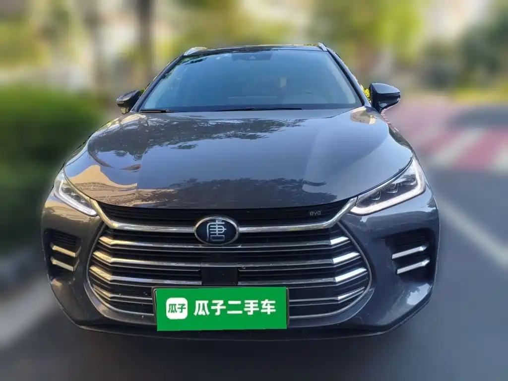 BYD Tang New Energy — миниатюра 2