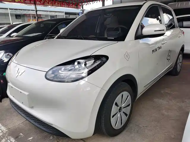 WULING AUTOMOBILE WULING BINGGUO 2023