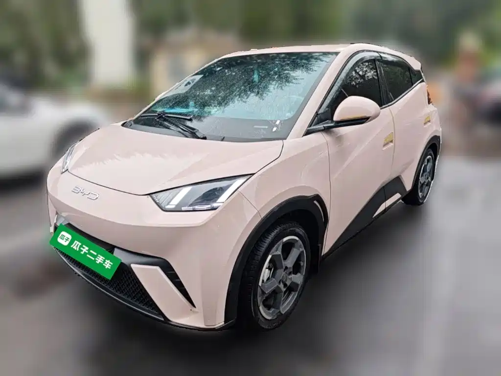BYD Seagull