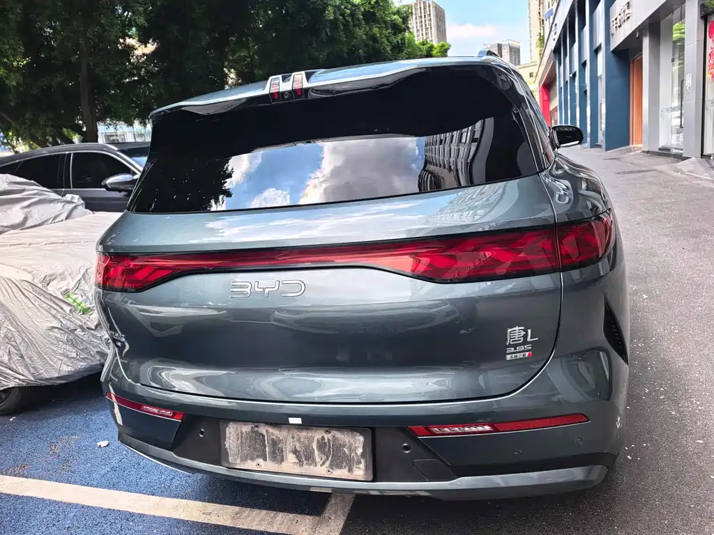 BYD Tang L - фото 9