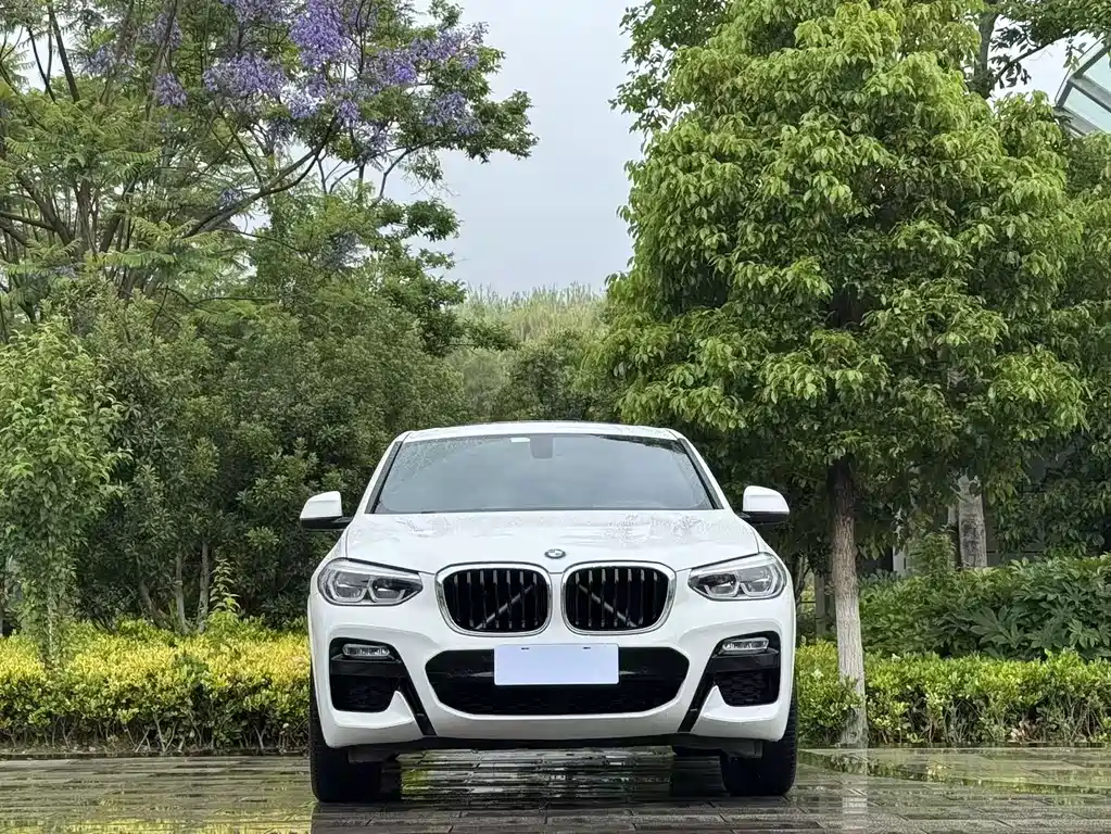 BMW X4 2019 xDrive25i M Sport