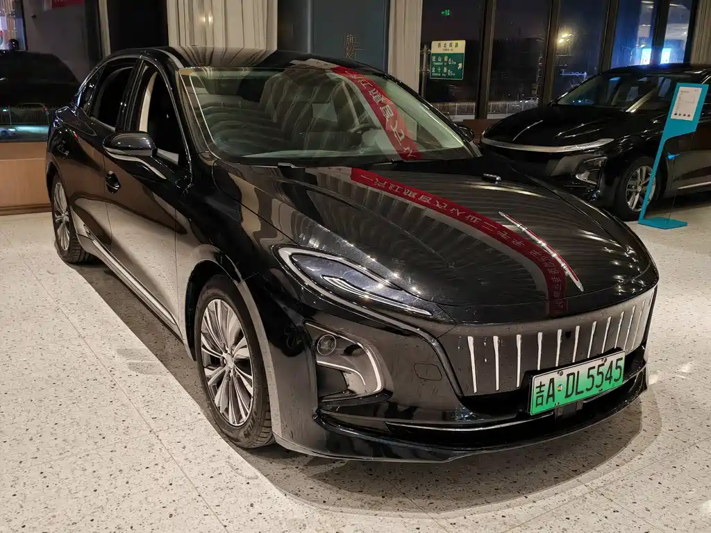 Hongqi HONGQI E QM5
