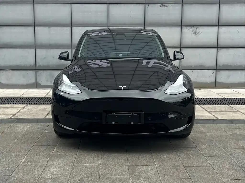 Tesla Model Y — миниатюра 4