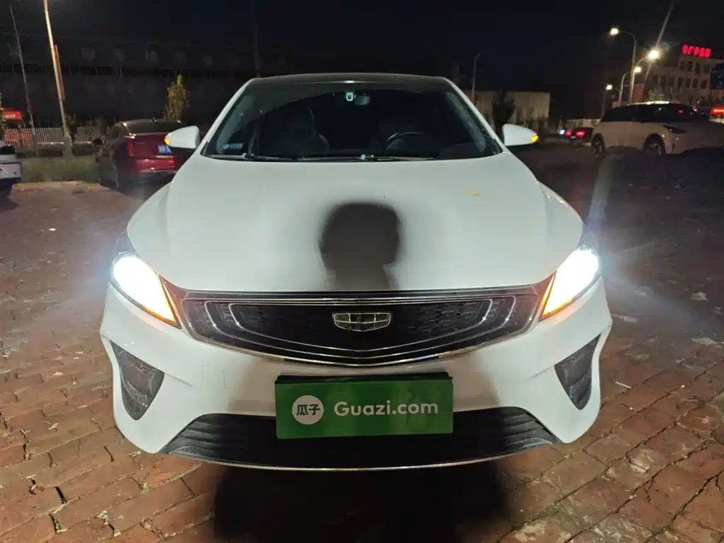 GEELY AUTOMOBILE BINRUI