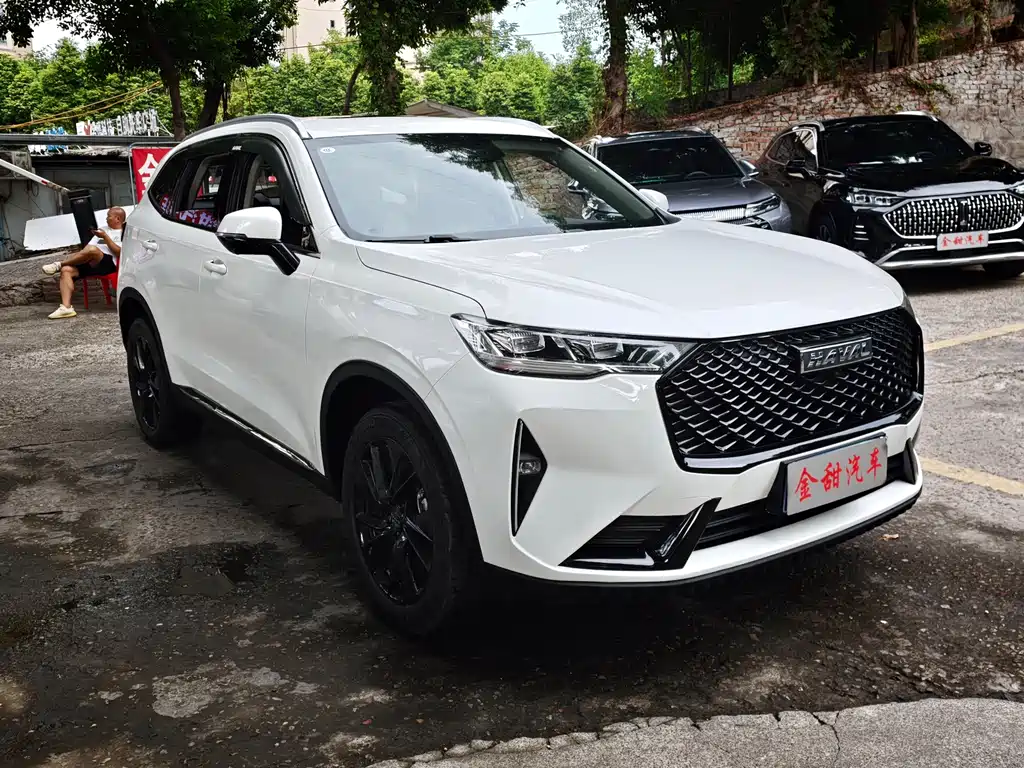 Haval H6 — миниатюра 7