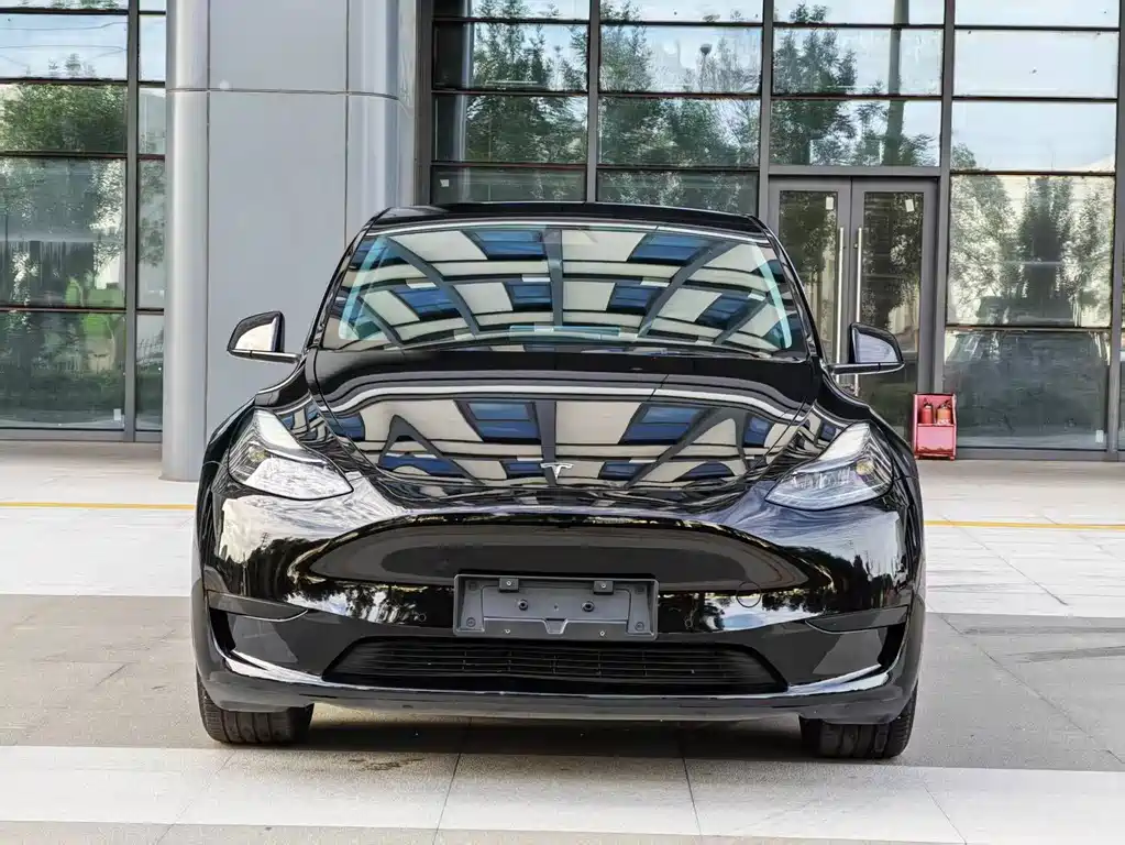 Tesla Model Y — миниатюра 3