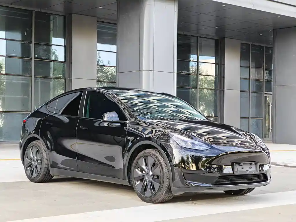 Tesla Model Y — миниатюра 2
