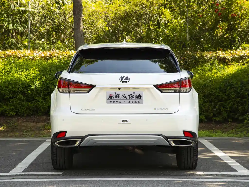 Lexus RX — миниатюра 5