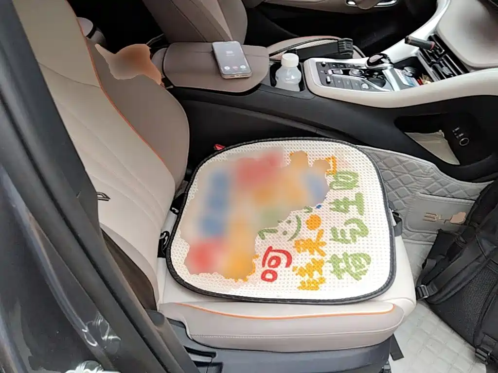 BYD Pro New Energy — миниатюра 25