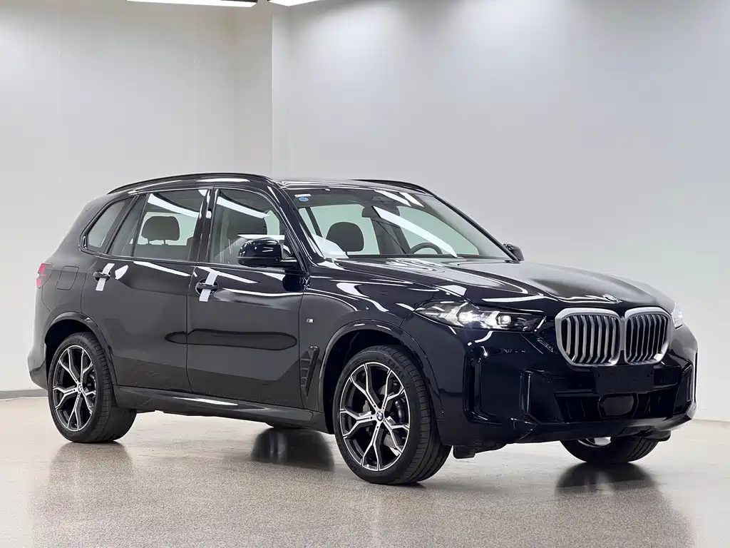 BMW X5 — миниатюра 2