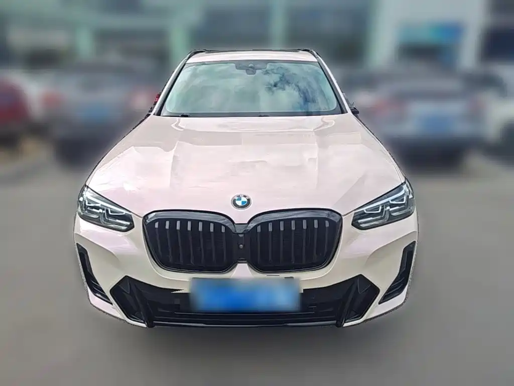 BMW X3 — миниатюра 5