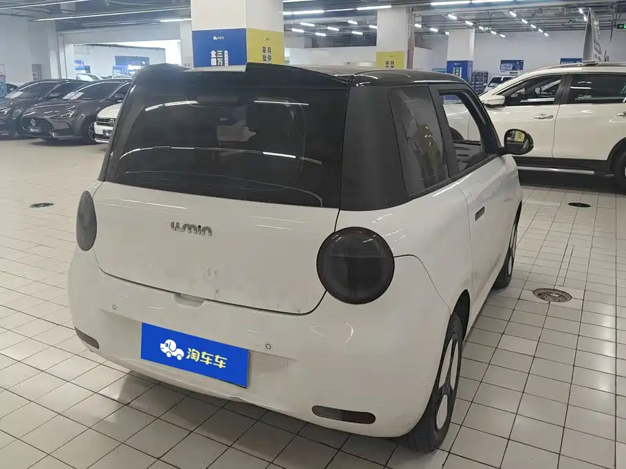 Qiyuan Lumin — миниатюра 3
