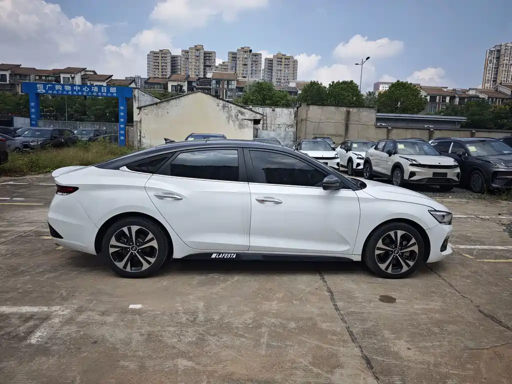 Hyundai Fista — миниатюра 4
