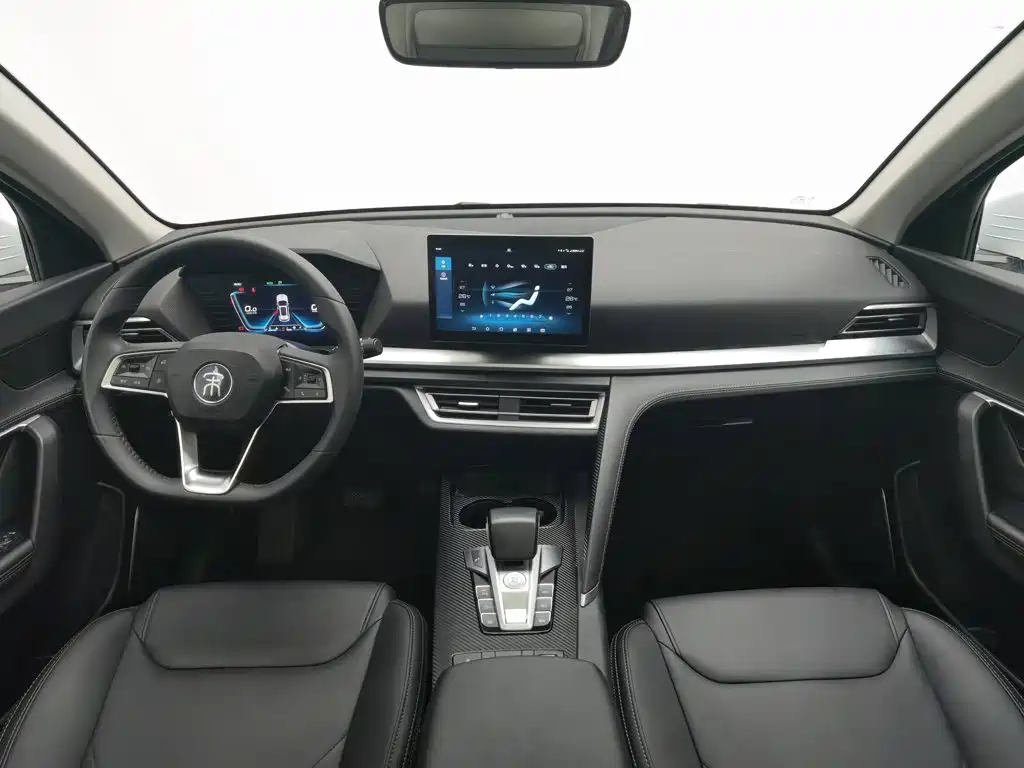 BYD Pro — миниатюра 5