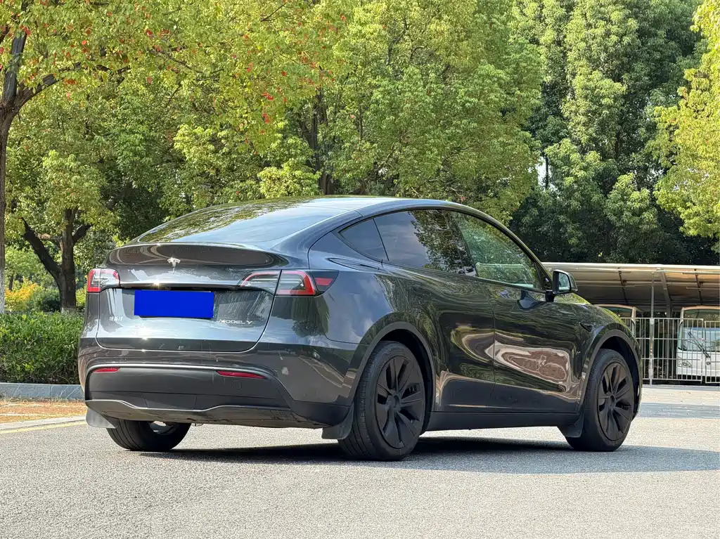 Tesla Model Y — миниатюра 6