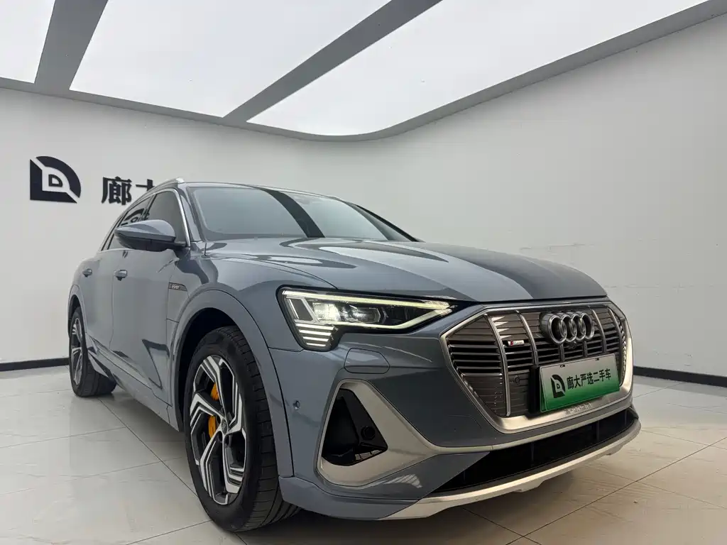 Audi e-tron — миниатюра 3